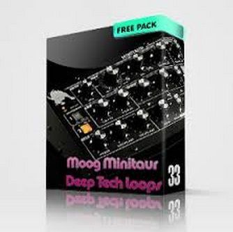 Moog Minitaur Techno Loops WAV FREE