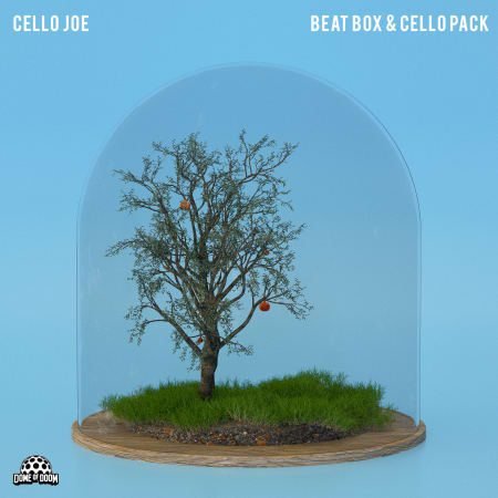 Cello Joe Beatbox And Cello Pack WAV-FLARE