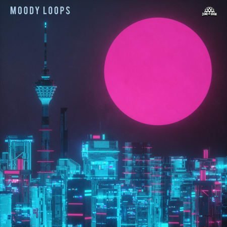 Moody Loops WAV-FLARE