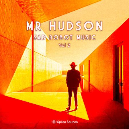 Mr. Hudson Sad Robot Music Vol. 2 MULTiFORMAT-FLARE