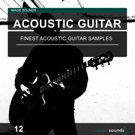Acoustic Guitar 12 WAV