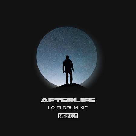 Afterlife Lo-Fi Drum Kit MULTiFORMAT-FLARE