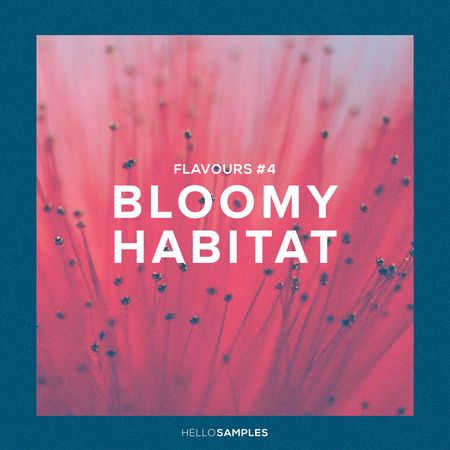 Flavours 4 Bloomy Habitat Ableton WAV