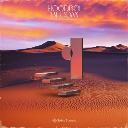Hoodboi Bloom Vol 1WAV MIDI -FLARE