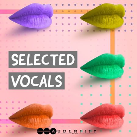 Selected Vocals WAV-FLARE