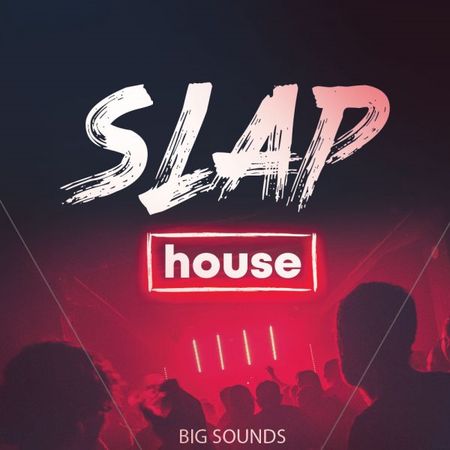 Slap House MULTiFORMAT-FLARE