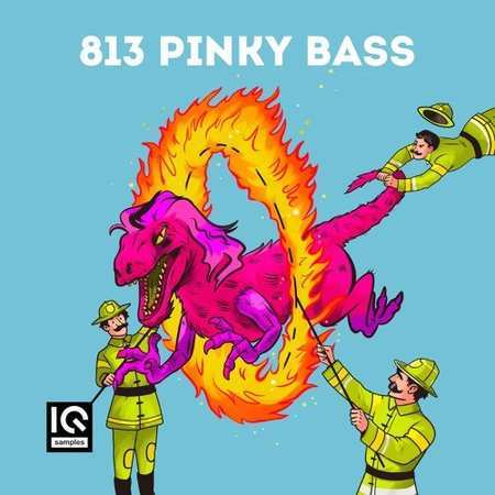 813 Pinky Bass WAV